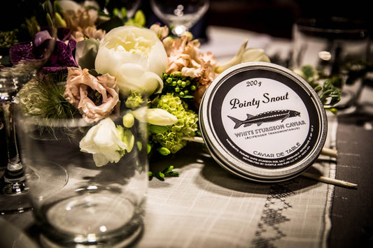 Quinn in Monaco & NY Image