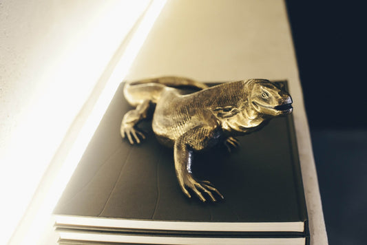 Only Time Will Tell: Les Ateliers Courbet x Pointy Snout Image