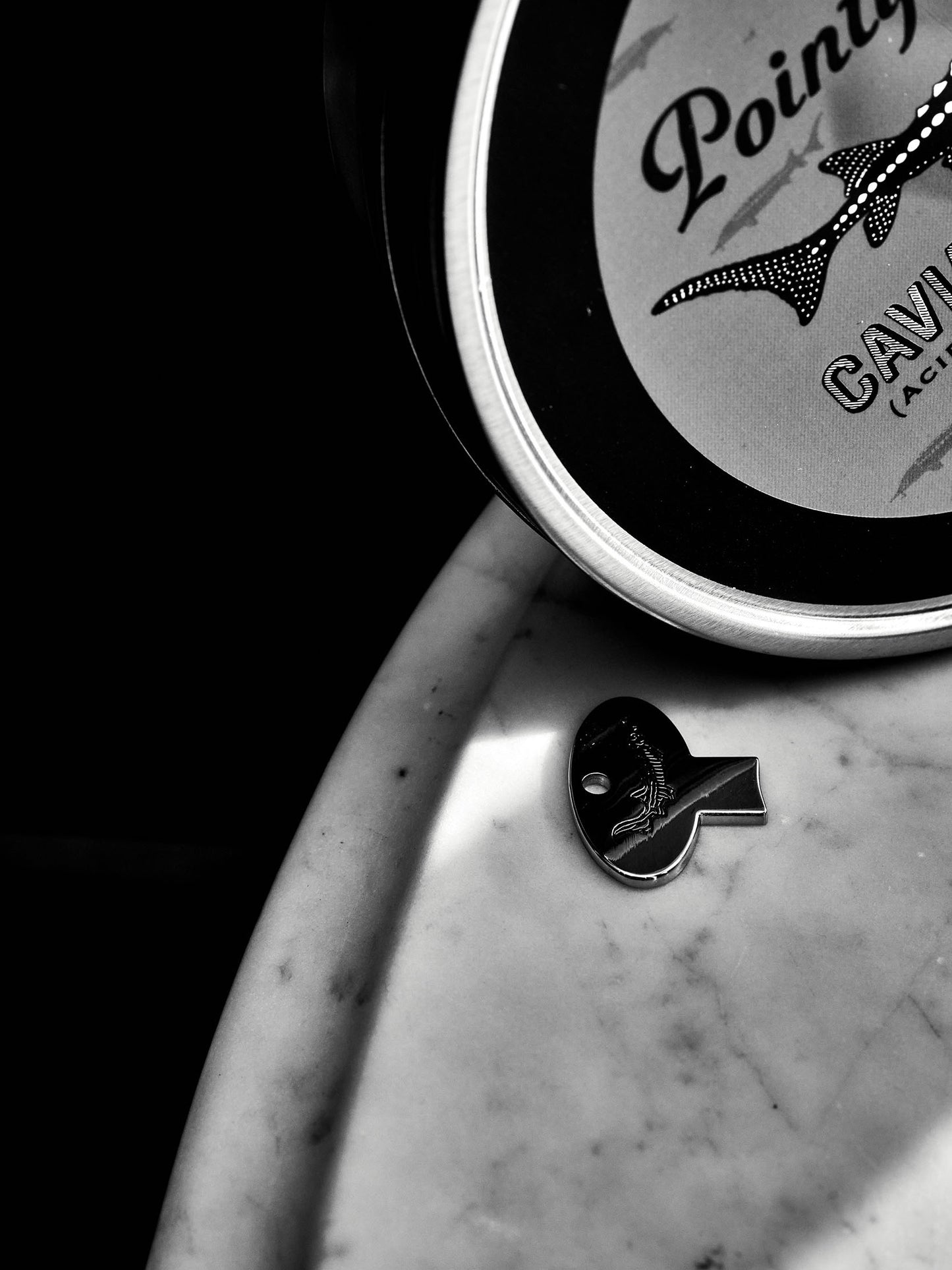 Pointy Snout Sturgeon Key