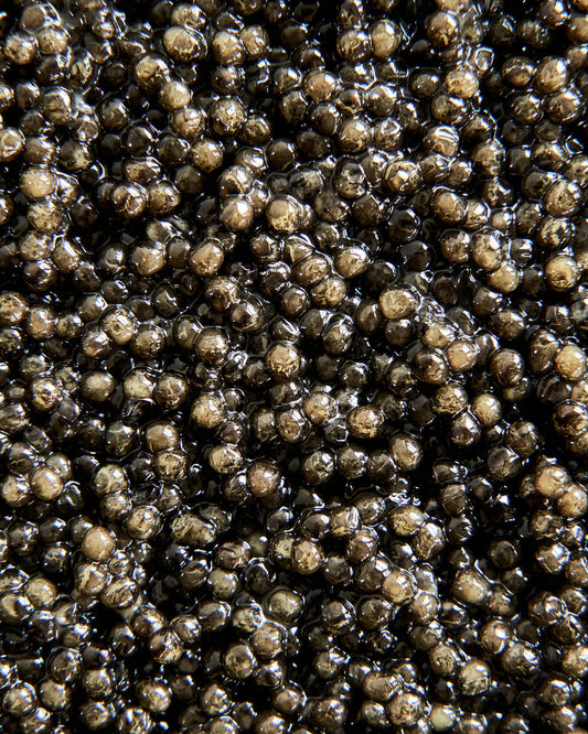 White Sturgeon Caviar Supreme