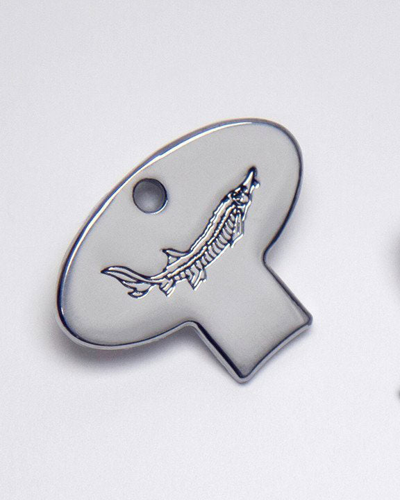 Pointy Snout Sturgeon Key