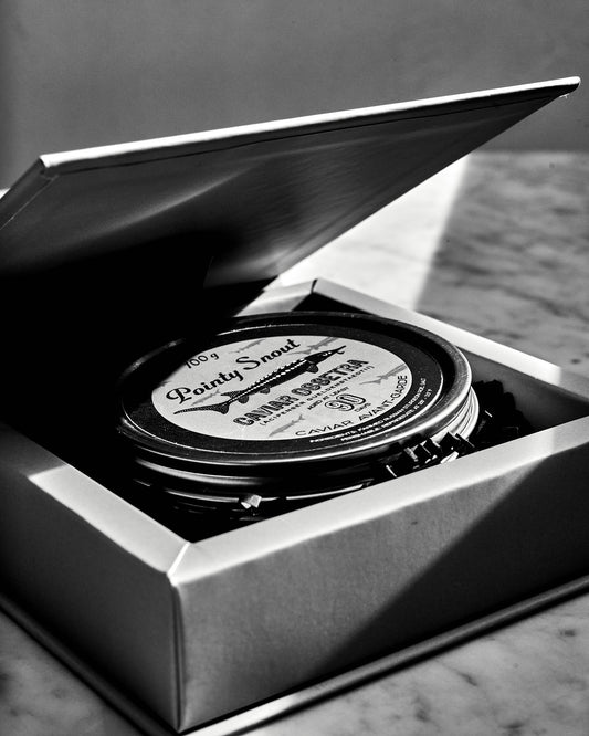 Pointy Snout Essential Gift Set