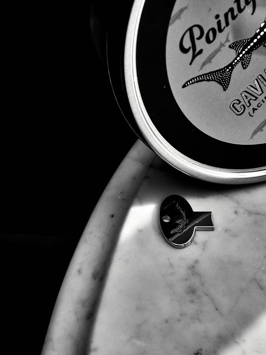 Pointy Snout Sturgeon Key