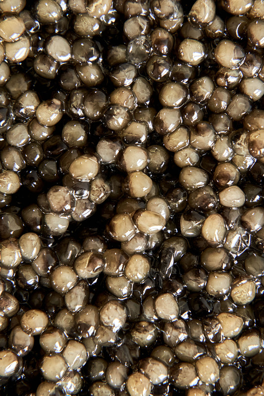 Caviar Ossetra Select