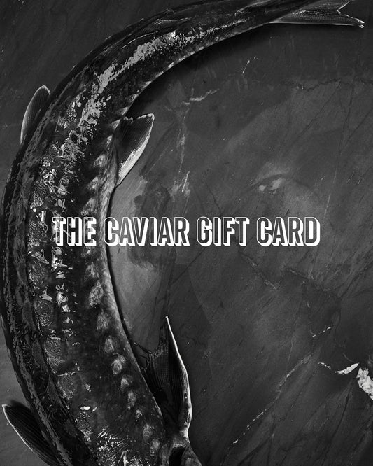 Pointy Snout Gift Card